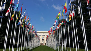 L'Agenda 2030 per lo Sviluppo Sostenibile e il contributo di Regala Un Albero