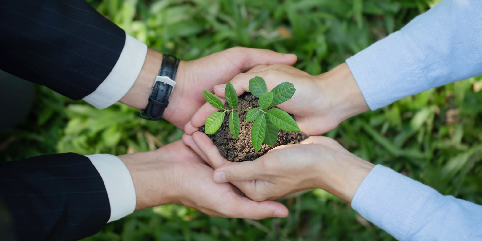 Bilancio di sostenibilità: cos'è, a cosa serve e per quali aziende è obbligatorio