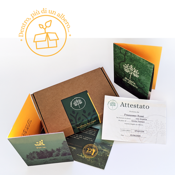 regala-un-albero-box-regalo